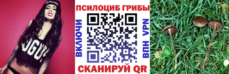 Псилоцибиновые грибы GOLDEN TEACHER  Нерюнгри 